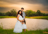 _Z622976