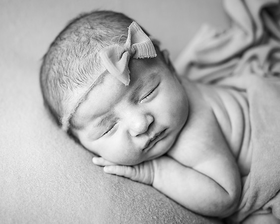 ZII_2620-Edit