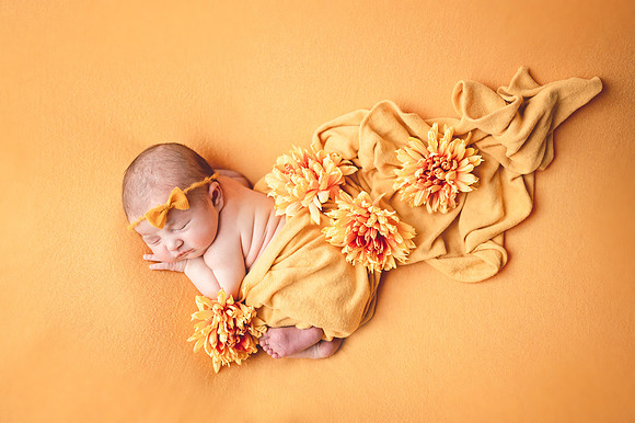 ZII_2629-Edit