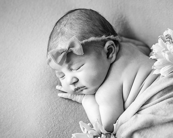 ZII_2631-Edit