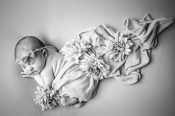 ZII_2635-Edit