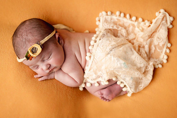 ZII_2644-Edit