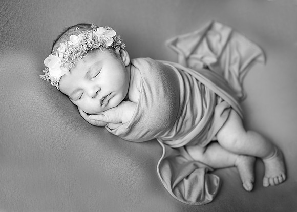 ZII_2655-Edit