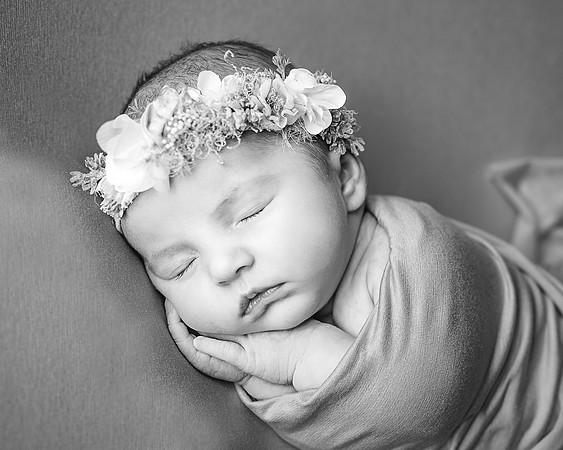 ZII_2657-Edit