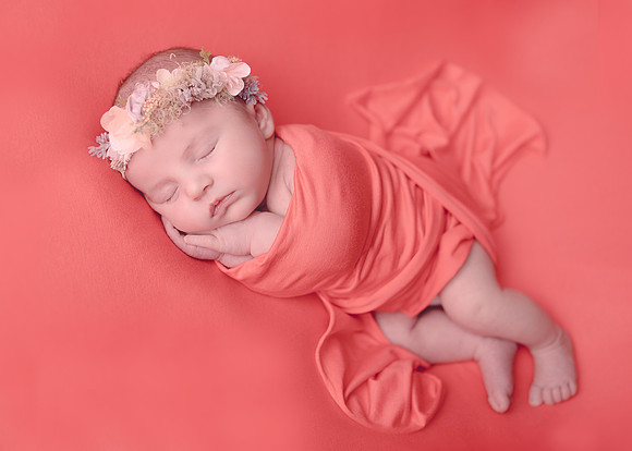 ZII_2658-Edit