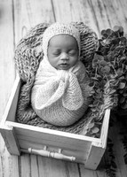 _Z723887-Edit