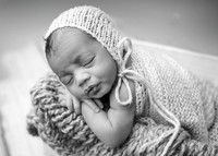 _Z723893-Edit