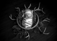 _Z624154-Edit