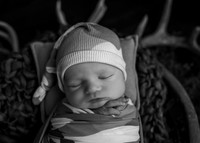 _Z624156-Edit