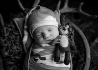 _Z624163-Edit