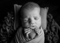 _Z624174-Edit