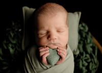 Harrison Brooks Newborn Session 26-May-26