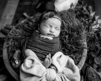 _Z624335-Edit