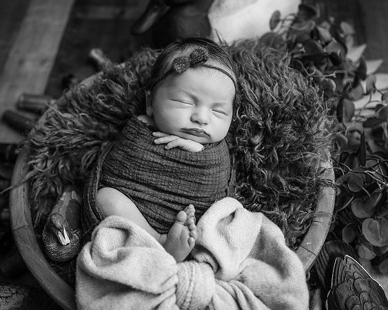 _Z624335-Edit