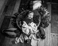 _Z624337-Edit