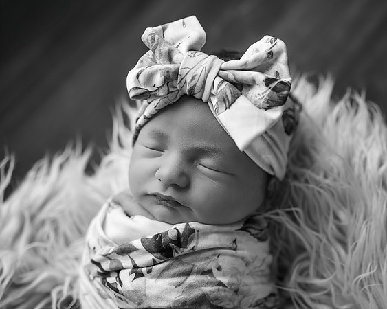 _Z624414-Edit