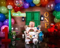 Avery Jane - Sesame Street Cake Smash 30-May-26