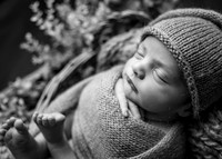_Z621118-Edit