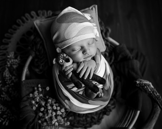 ZII_8302-Edit