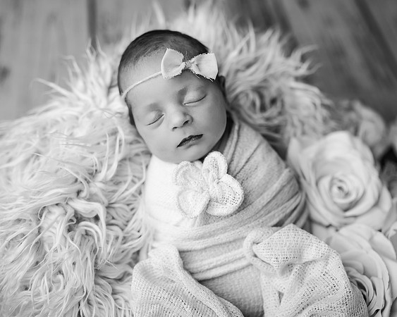 _Z621784-Edit