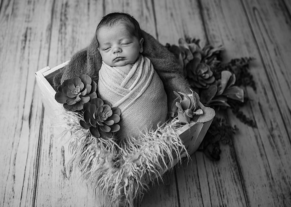 _Z622431-Edit