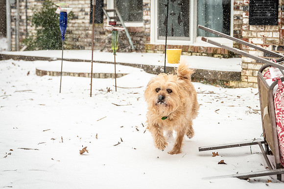 750_3701