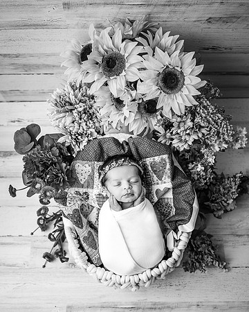 ZII_9215-Edit