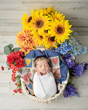 ZII_9222-Edit