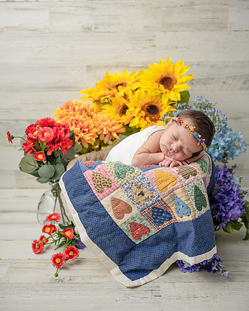 ZII_9233-Edit