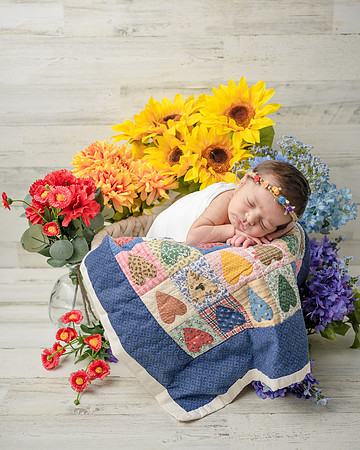 ZII_9235-Edit