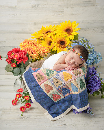 ZII_9237-Edit