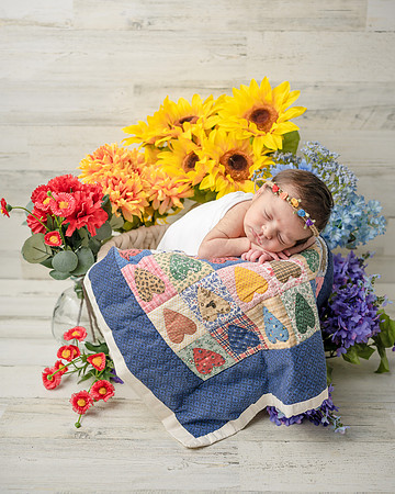 ZII_9239-Edit