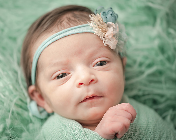 ZII_9294-Edit