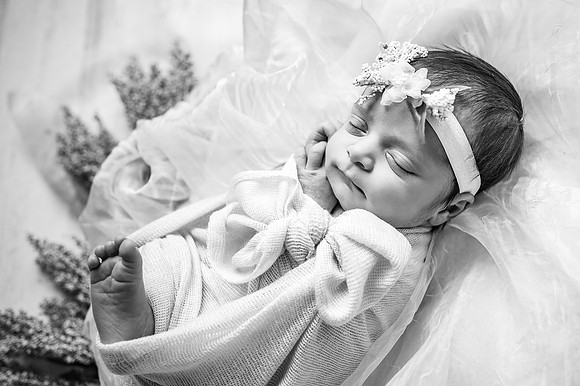 ZII_9331-Edit