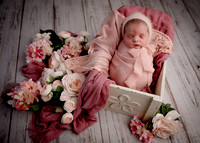 _Z625284-Edit