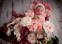 _Z625289-Edit