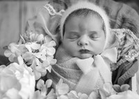 _Z625294-Edit