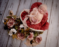 _Z625308-Edit