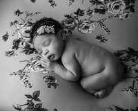 _Z615369-Edit