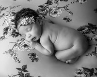 _Z615380-Edit