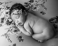 _Z615392-Edit