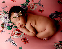 _Z615394-Edit