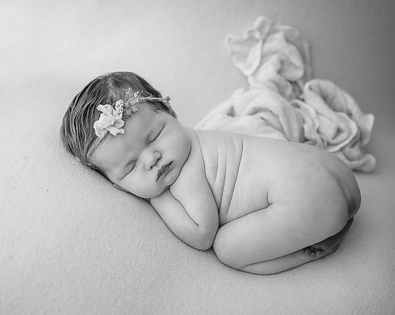 _Z626942-Edit