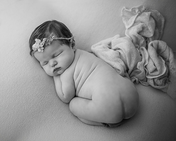_Z626947-Edit