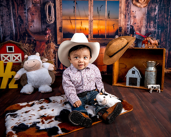 _Z627427