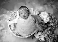 _Z728028-Edit