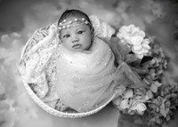 _Z728036-Edit