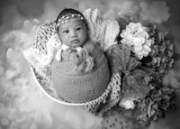 _Z728040-Edit