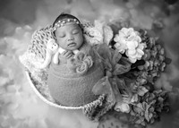 _Z728065-Edit