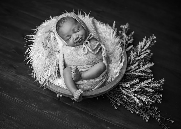 _Z728141-Edit